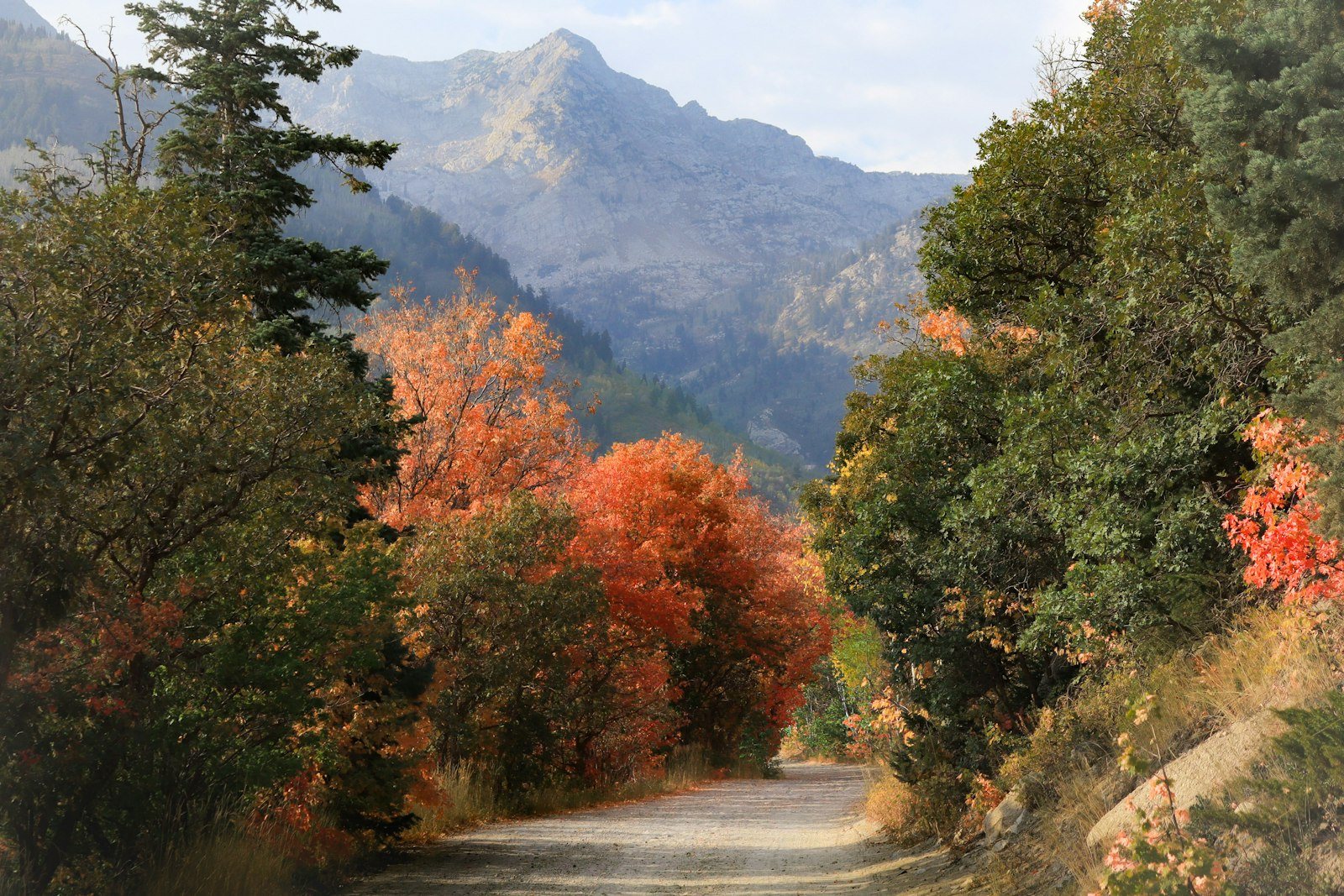 An autumn trail with red and orange trees below the peaks of American Fork Canyon